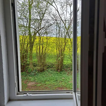 Raetselstube * Passee