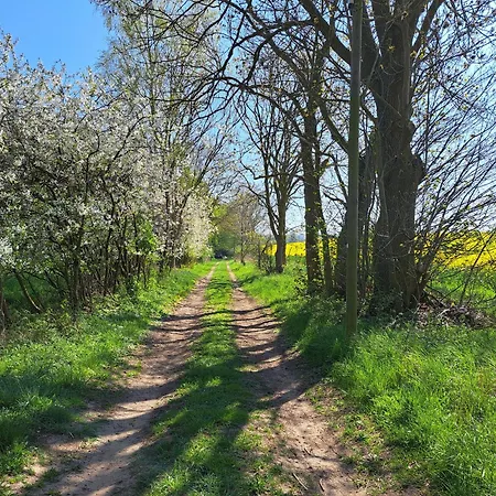 Raetselstube